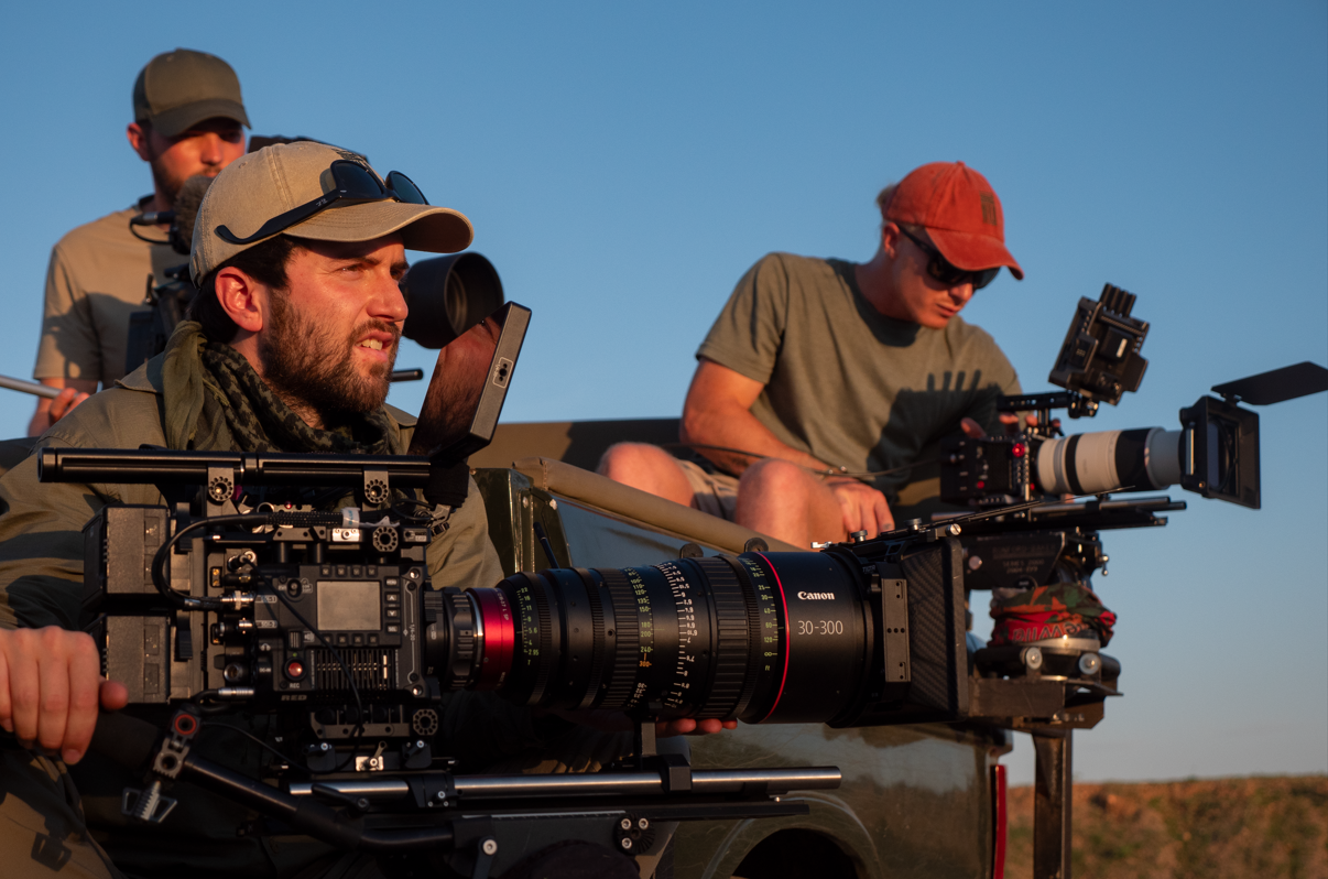 Wildlife filming and photography