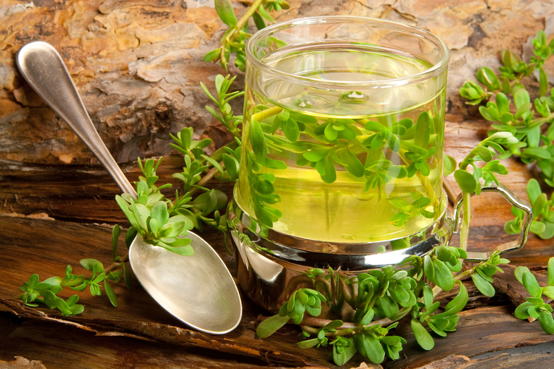 Bacopa