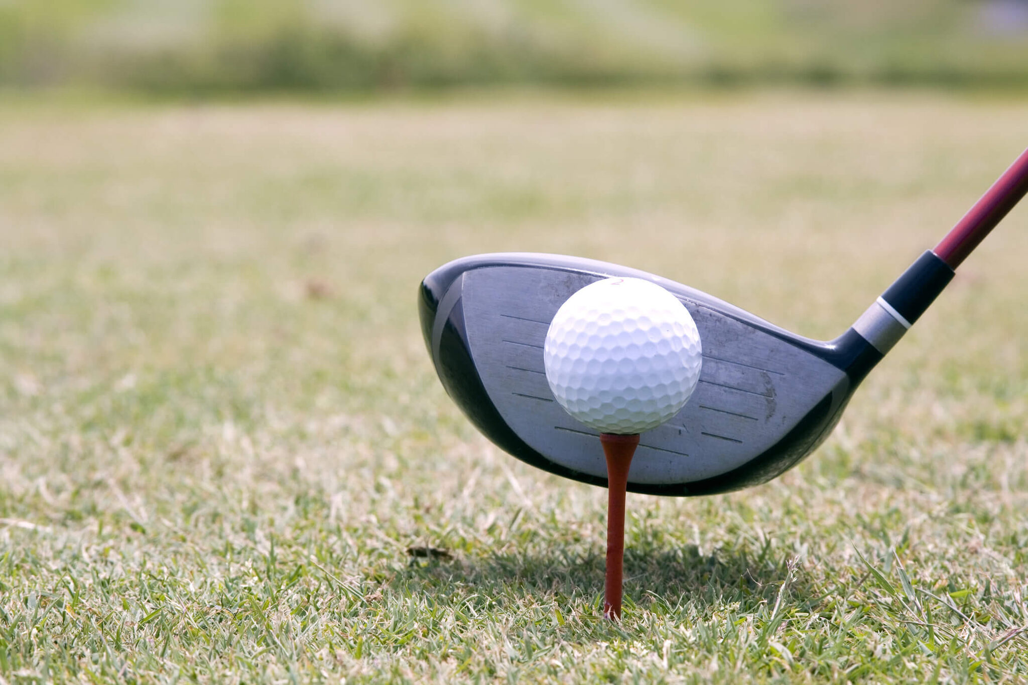 driver golf