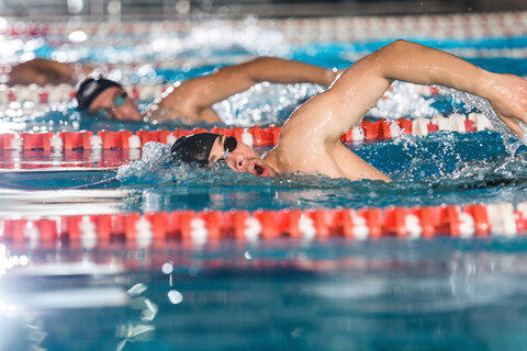 free style swimmers